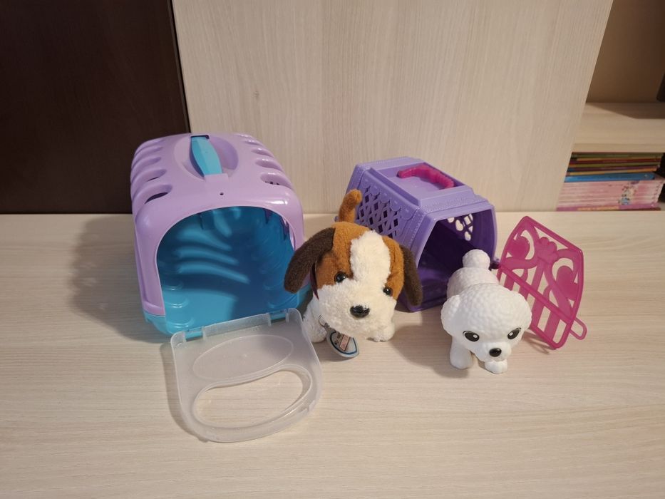 Pentru copii, transport 5 lei