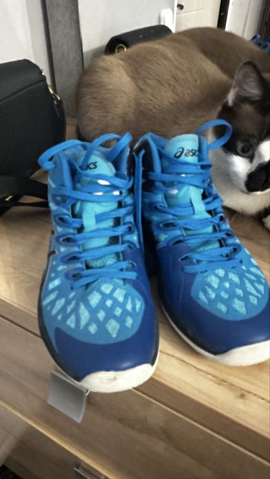 Кроссовки ддя волейбола