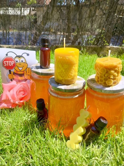 Пчелен мед реколта 2025