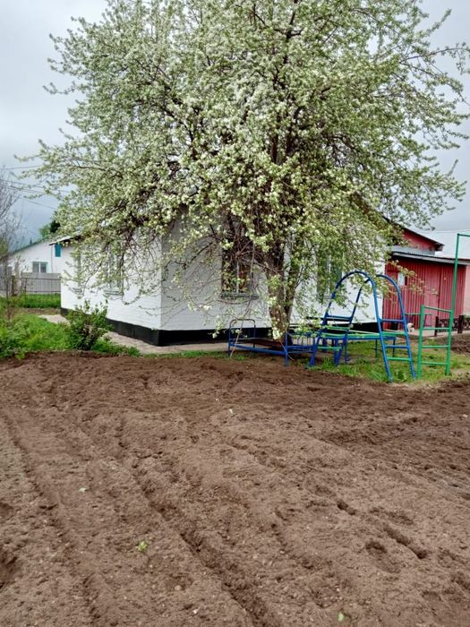 Дом в селе Черемшанка