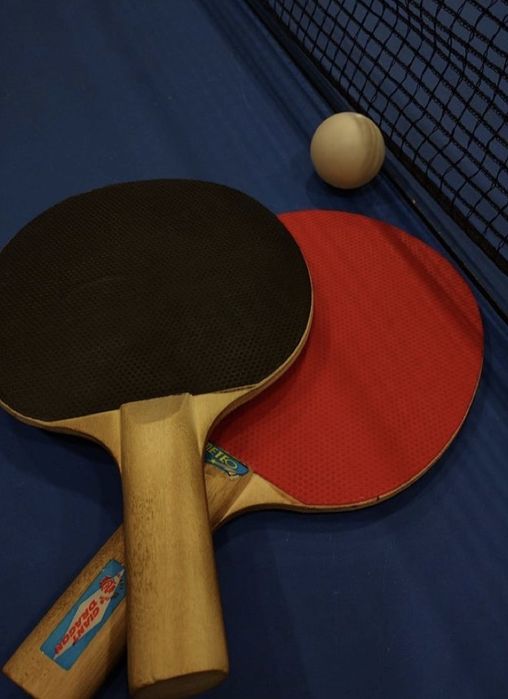 Stol tennisi/ Теннисный стол