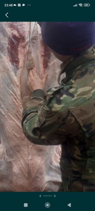 Касапшы  Мясник.