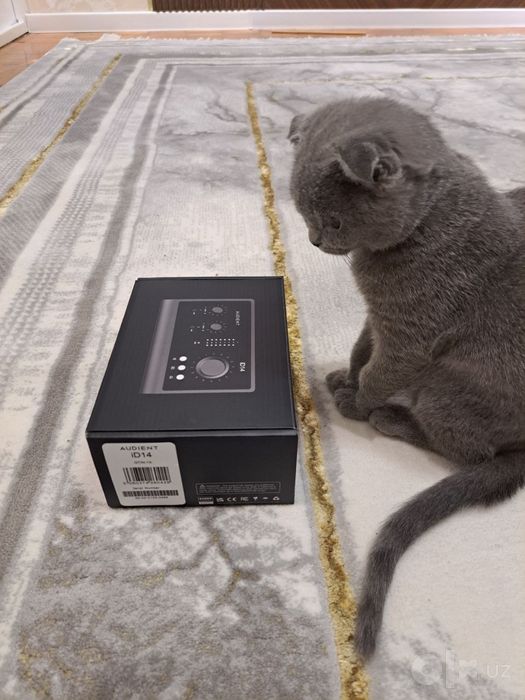 Audient id14 mkii sotiladi