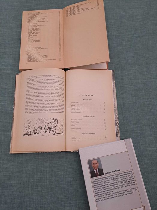 Книги- кітаптар с иллюстрациями