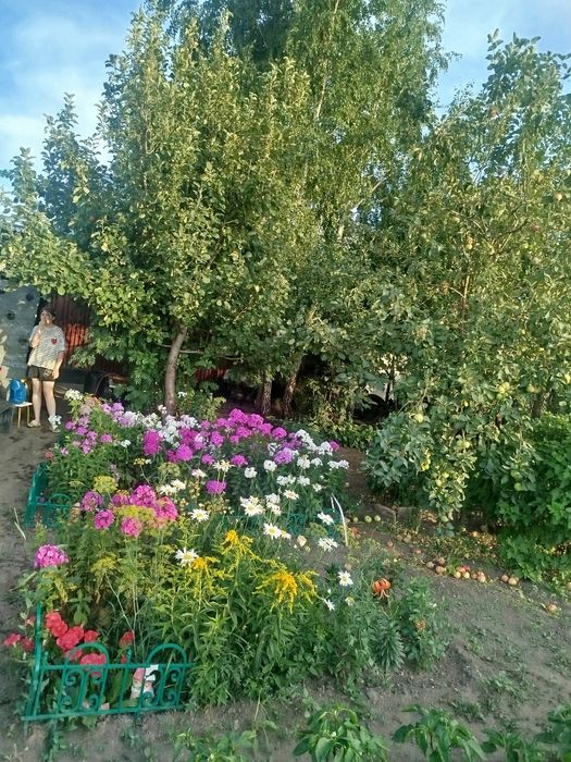 Продам срочно дом