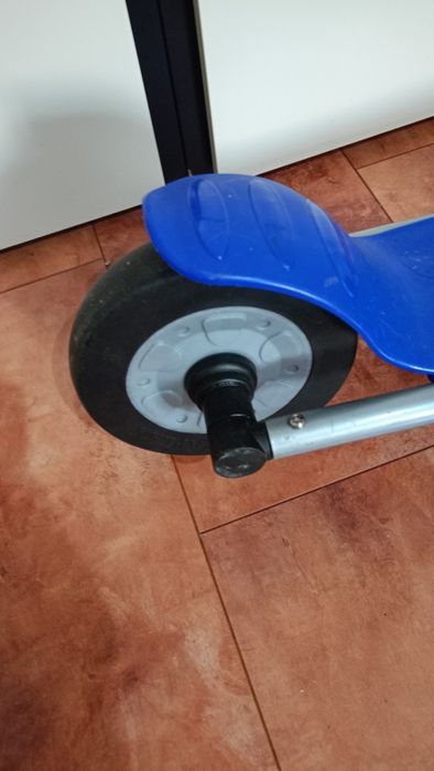 Trotineta robusta Kaplan