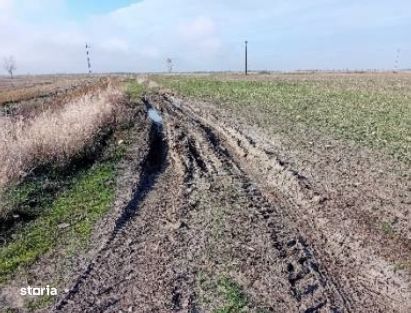 teren extravilan-Loc. Buteni, jud. Arad