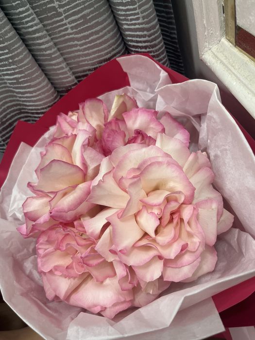 Цветы в хорошем состоянии