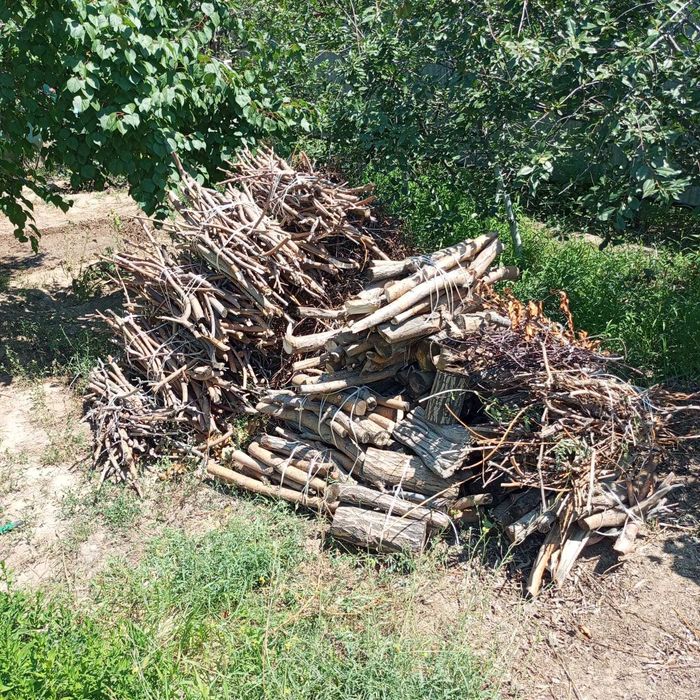 Дрова ивы сухие бесплатно