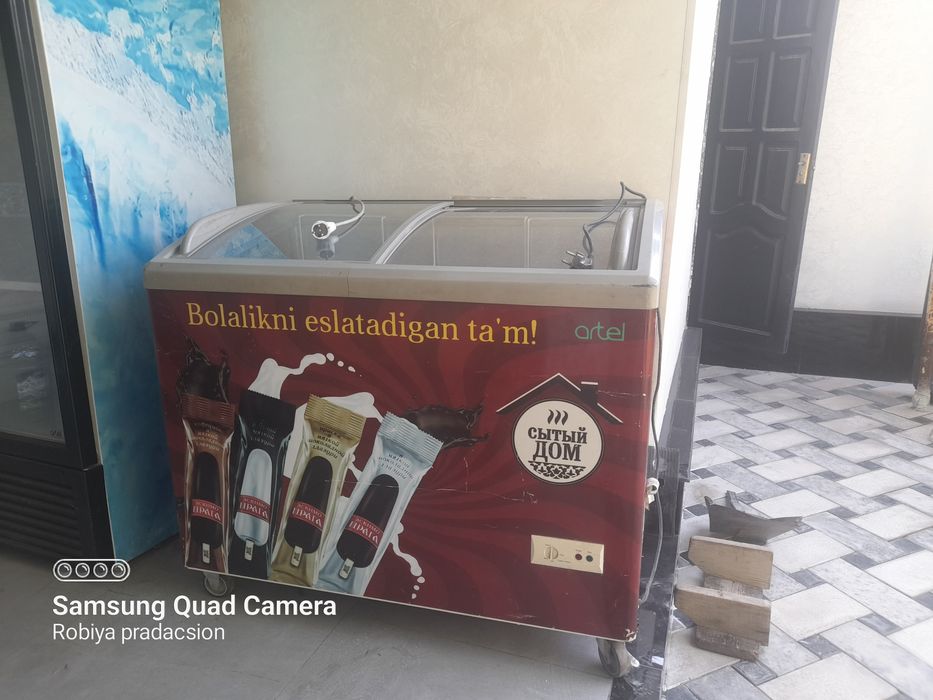 Есть холодильник стоячий и морозильник мороженый