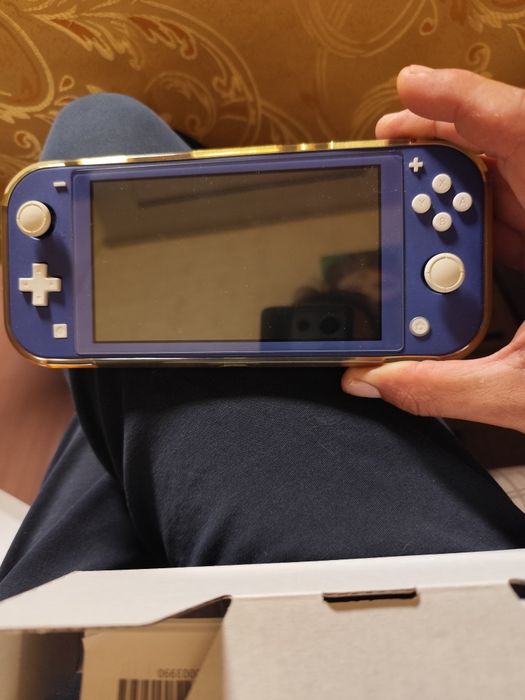 Nintendo switch lite