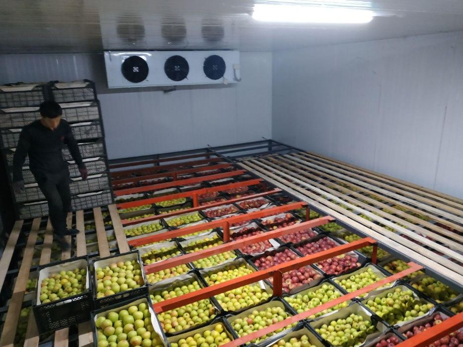 Строим холодильные камеры