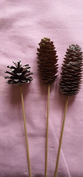 Шишки   натуральные  для декора