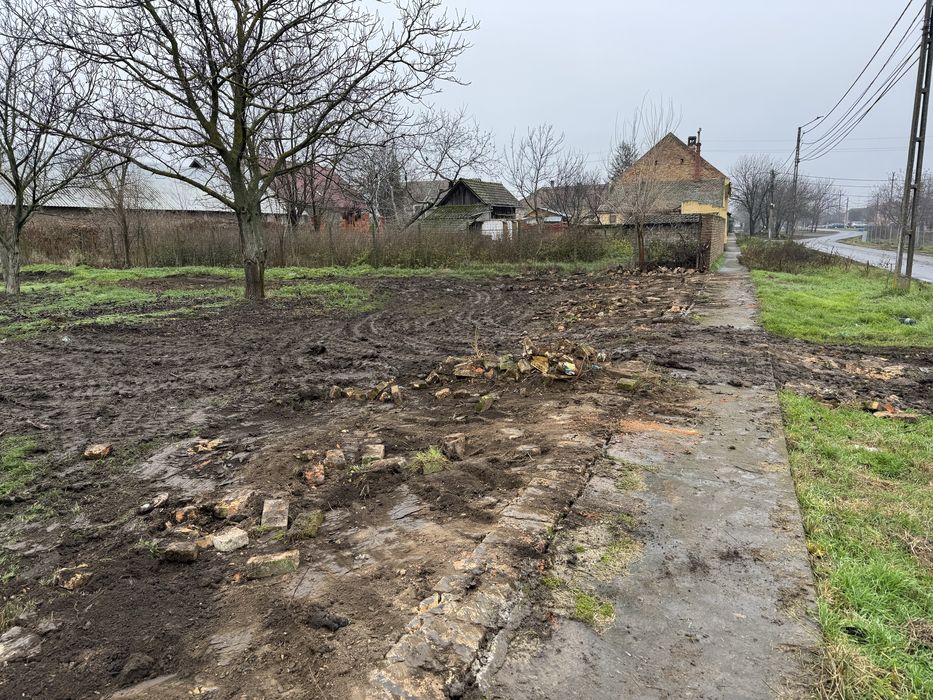 Teren de vanzare carpinis timis