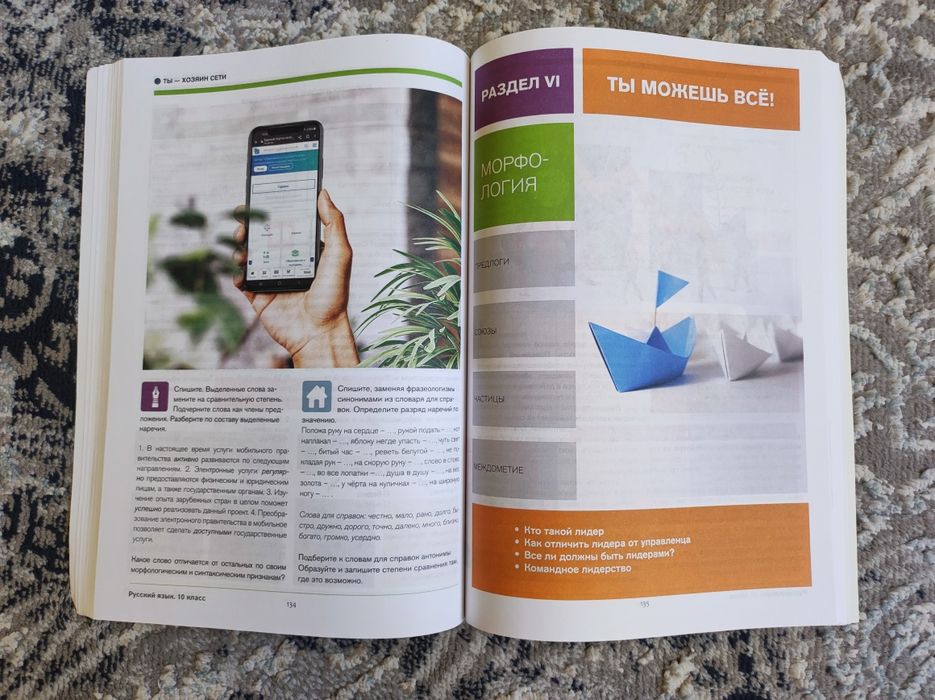 Русский язык 10 класс, школьный учебник