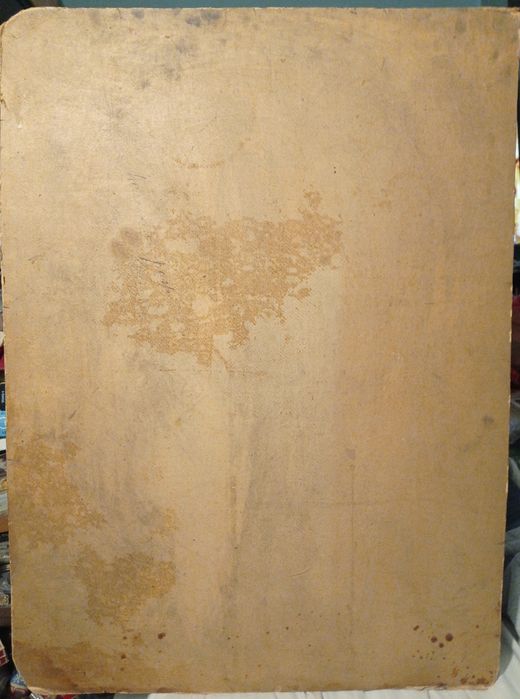 Vând/Schimb tablou pictat pe carton,semnat-L.Teodoru-Dim.49 cm/66,5 cm