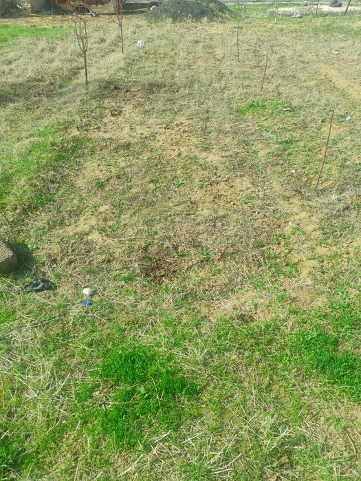 Продам землю Пскентский район Акмаль Икрамов