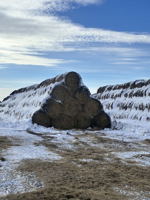 Продам рулоны сена