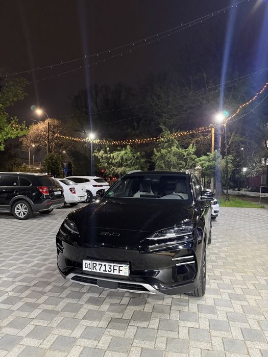 бивайди чемпион ресталин 2024-25