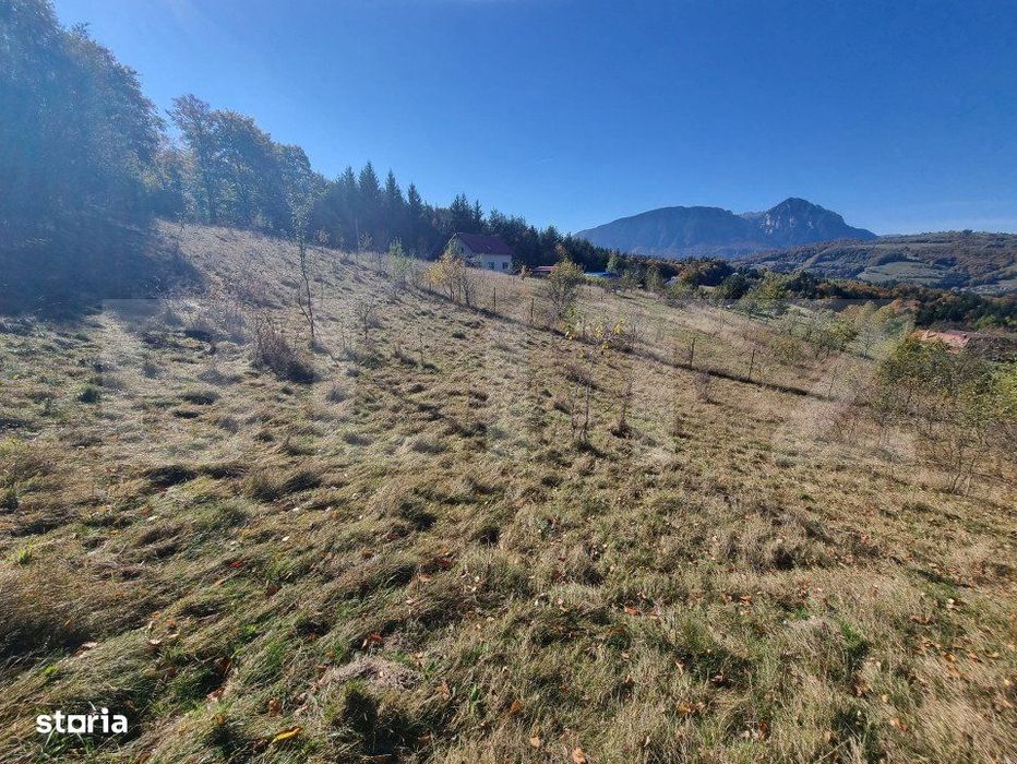 Teren pentru casute de vacanta - Poiana Marului - vedere la M. Piatra