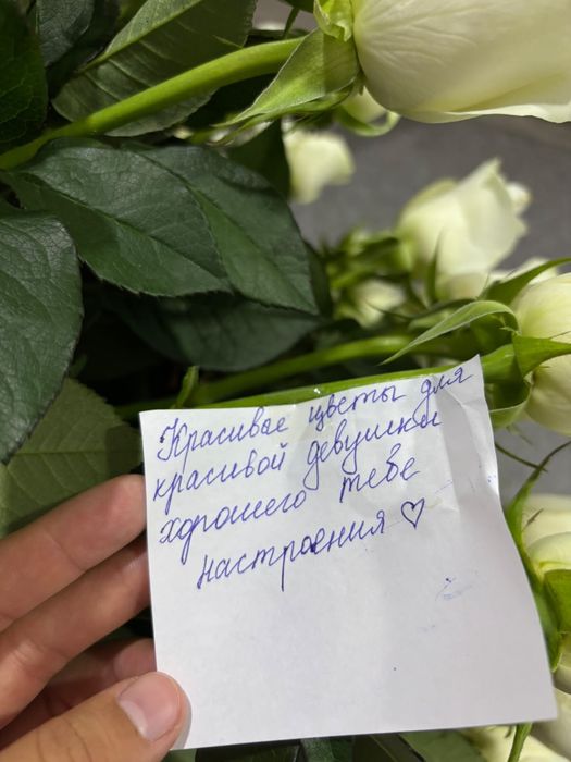 51 роза белый.