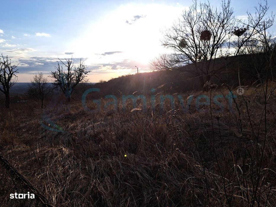 GAMINVEST Teren intravilan in Podgoria, de vanzare, Bihor v3270