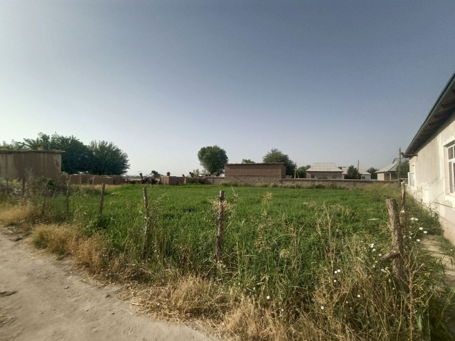 Сурхандарё Шурчи туманида