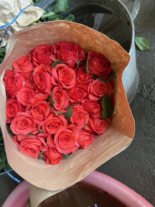 Atirgul gunchalari bor