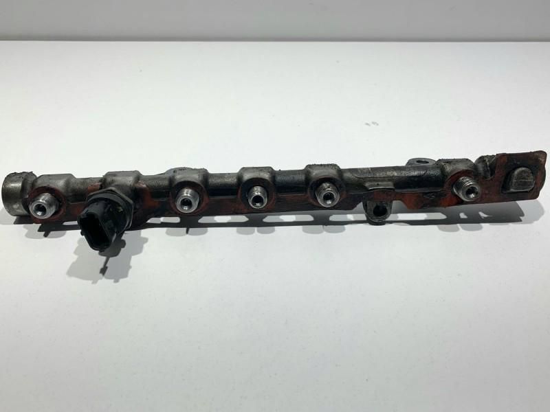 Rampa injectoare Renault Megane 3 facelift 175212059R 1.9 dci F9Q 870