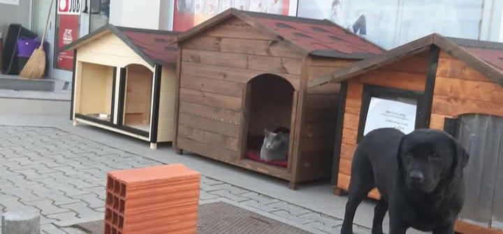 Кучешка колиба къща за куче