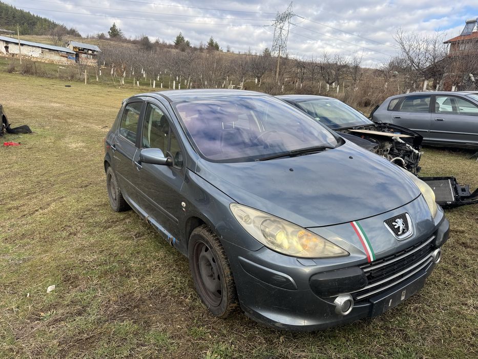 Peugeot 307 2.0HDI на части