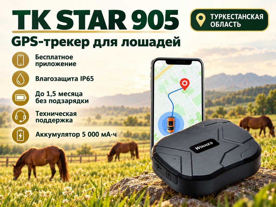 GPS трекер для лошадей. Жпс жылқыға