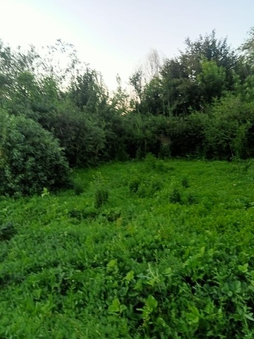 Продам дачу 12 соток