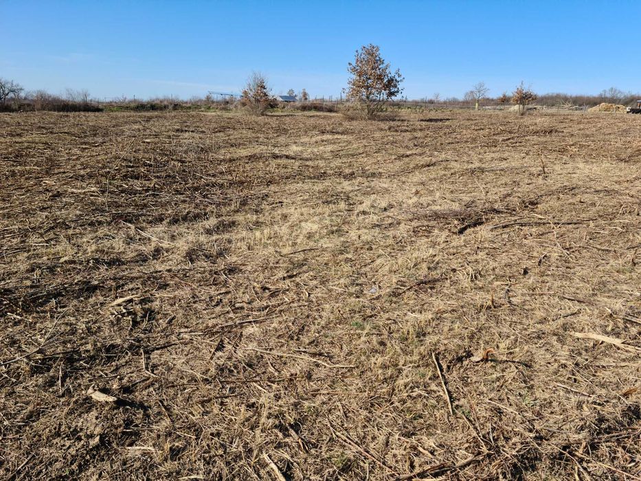 intravilan 10 si 12 ari viile satu mare