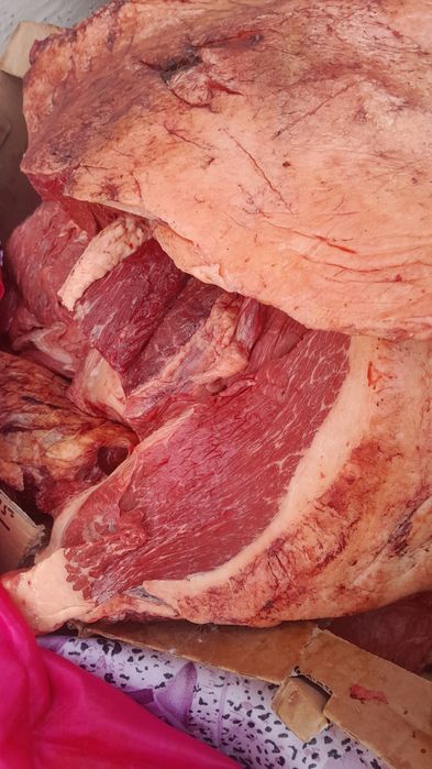 Ет сатылады биенин ети