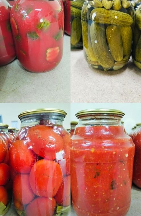 Салат банка салаттар бар