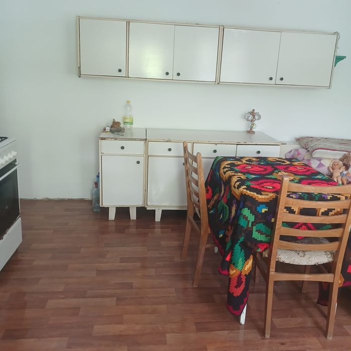 Casă de vânzare curte cu vie.