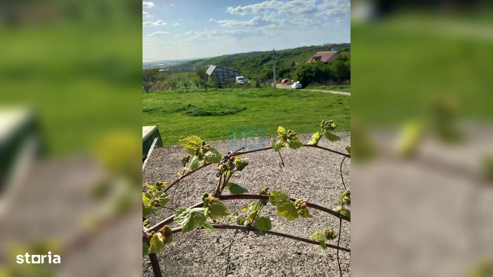 Teren Intravilan 1.938 Mp | Paleu – Oradea | Comision 0% Cumpărător