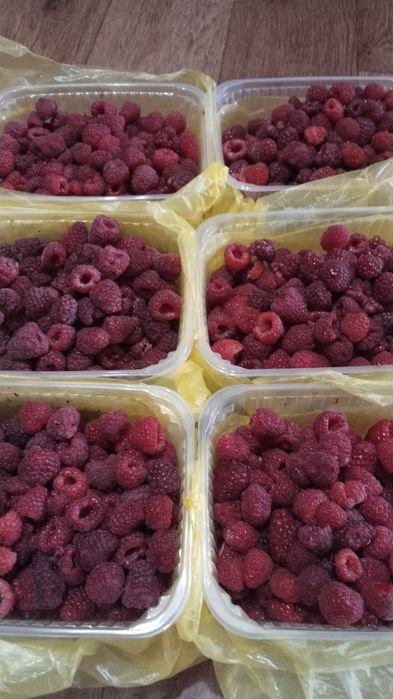 Продам малину дачную.