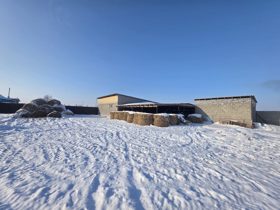 Участок 10 соток