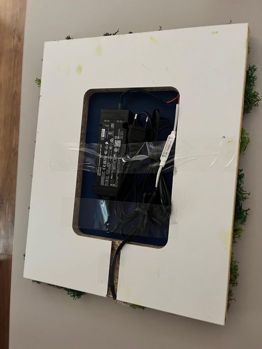 Oglinga cu led si lichieni