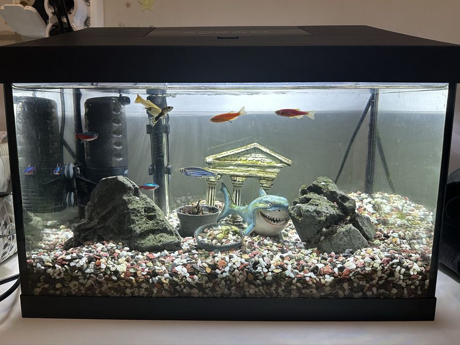 Аквариум за рибки оборудван 25 литра AQUAEL LEDDY 40