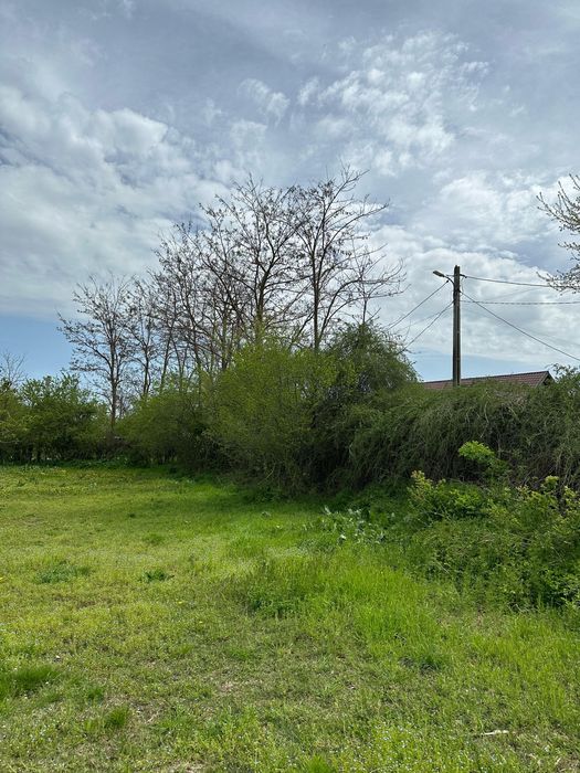 Vând teren intravilan Cosereni/ Boranesti