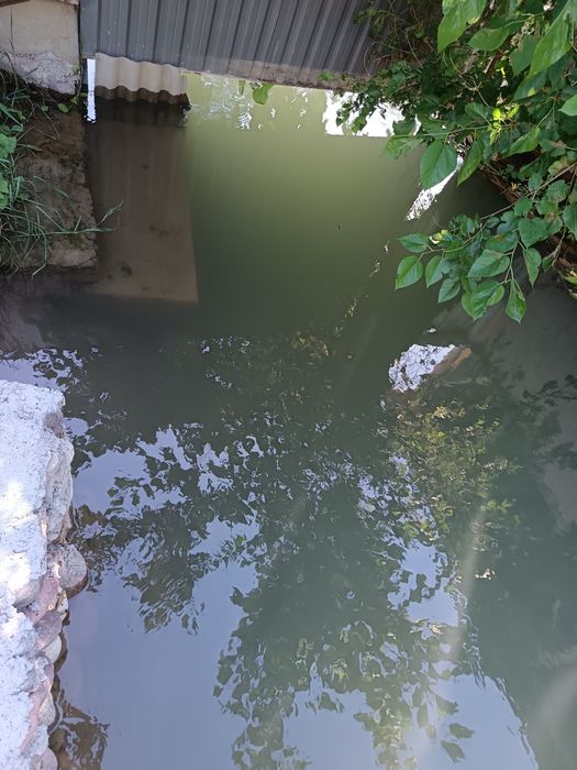 12 сотих хамма шароит бор ер участка сотилади