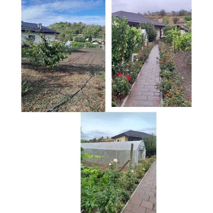 Casă rurală modernizată + 2329 mp teren, livadă și solar