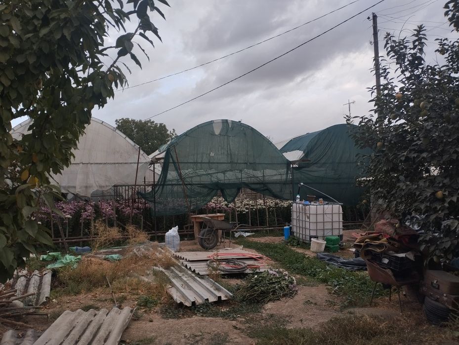 Теплица сотилади кибрай