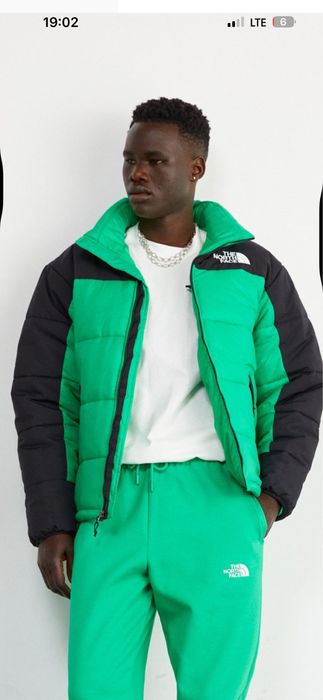 Geaca the north face