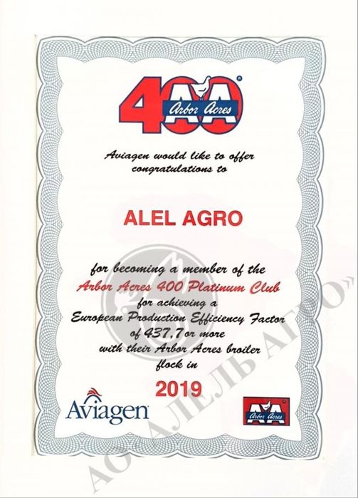 Шашлык Пикник {Халяль} .