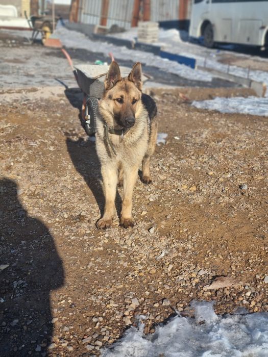 Кабель для вязки