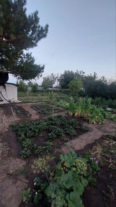 Продам дачу в « Цветущем саду»